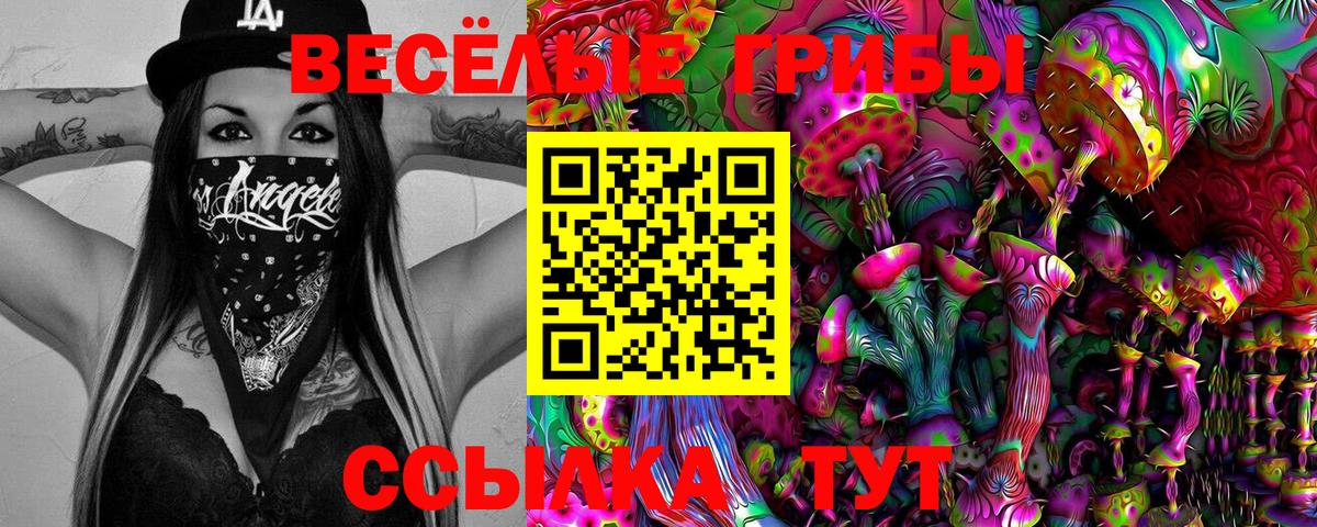 Псилоцибиновые грибы мицелий Коммунар