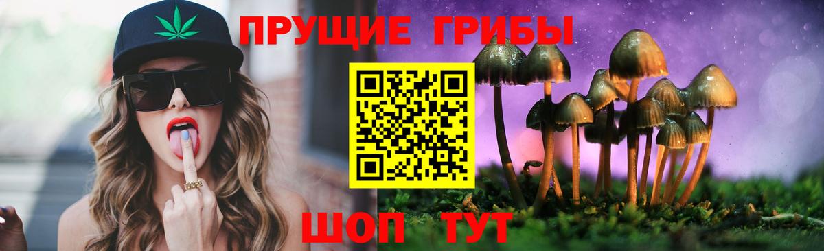 Галлюциногенные грибы прущие грибы  Вход с VPN  Коммунар 
